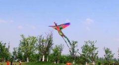 临沂龙园旅游区第二届风筝文化节开幕